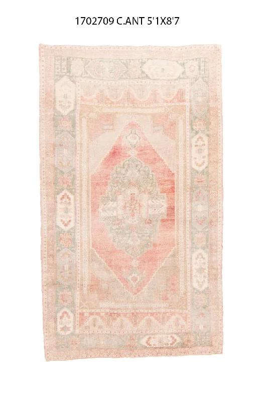 best carpet cleaner for old stains-5x9 Old & Vintage Turkish Area Rug