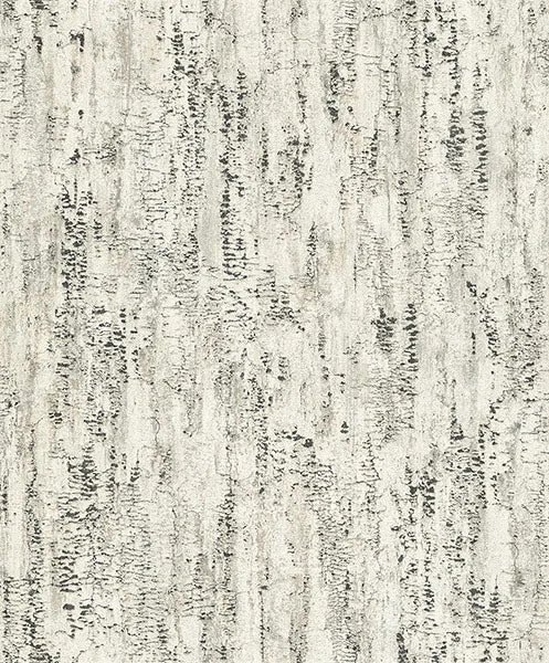 Colm Charcoal Birch Wallpaper from Concrete Advantage Collection