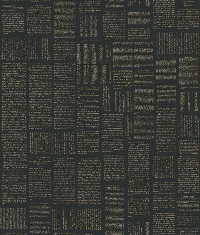 Crafted Editorial Black/Gold Peel & Stick Wallpaper