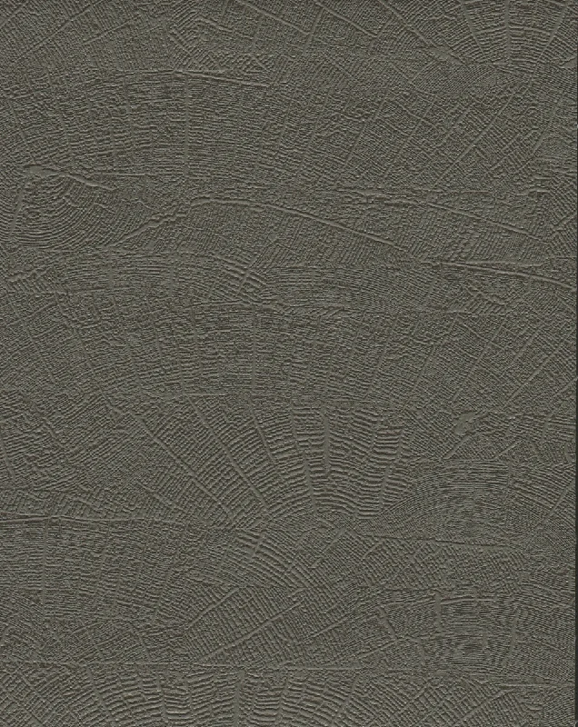 On Deck Wallpaper in Shadow Grey/Brown from the Natural Digest Collection